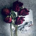 KwonT、Baby E - Dead Roses (Explicit)