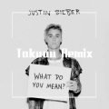 拓金Takuau - Various Artists-What Do You Mean (Remix)