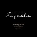 Murumba Pitch、Kammu Dee、Nkulee501 - Ziyasha