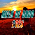 Piseirinho E Reggaes - Melo De Undo 2023