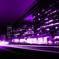 purple love