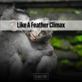Like A Feather Climax District XXIII