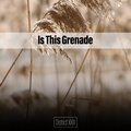 Is This Grenade District XXIII