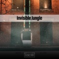 Invisible Jungle District XXIII