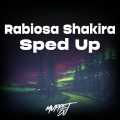 Rabiosa (Sped Up)(Remix)