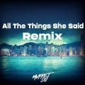 All The Things She Said (Remix)