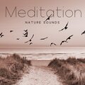 Meditation Nature Sounds (Rain Sounds, Storm, River, Forest & Birds, Sea Waves, Waterfall)