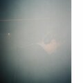 Sirens / Internal