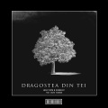 Dragostea Din Tei (Hardstyle Remix)