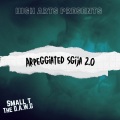 Small T The D.A.W.G - Arpeggiated Sgija 2.0