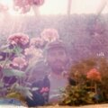 Jole - Talk