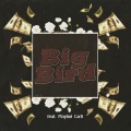 Big Bird (Original Mix)