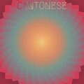 Chir Conon - 103 Governed