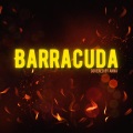 Barracuda