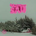 BILETYBRATKU、DANA$、Amon - Malinowy sad