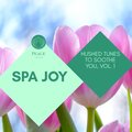 Spa Joy - Hushed Tunes To Soothe You, Vol. 1