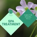 Spa Treatment - Tunes For Healing, Vol.2