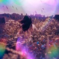 Rainbow Road
