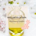 Wellness Of Spa - Music Of Rejuvenation And Relaxation