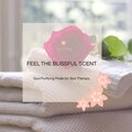 Feel The Blissful Scent - Soul Purifying Music For Spa Therapy