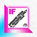 Richard Grey、Marty Grime、Armand Pena - IF (Extended Mix)