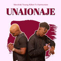 Harmonize、Msodoki Young Killer - Unaionaje