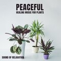 Peaceful Healing Music for Plants (Sound of Relaxation, Soft Rains for Flowers on Earth)