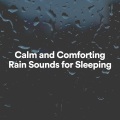 Relaxing Rain - Rain for City Walks, Pt. 9