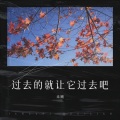 未顾 - 过去的就让它过去吧