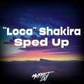 Loca Loca Loca (Sped Up)(Remix)