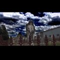 The Epitome、Liam Harmer - The night is so blinding (feat. Liam Harmer)