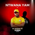 Dj Wisani SA、Sbillow De Vocalist - Imizamo (feat. Sbillow De Vocalist)