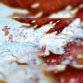 染兮公子 - 雪月