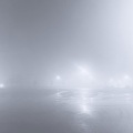 Starchild、Gonzalez Emmanuel - safewatch