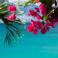 Heavenly Realms、Dancing Waves - Healing Ocean Waves (528 Hz Piano)