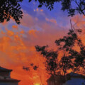 上野 - 你有多久没有看过海风