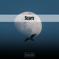 Scars District XXIII