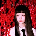 Nami_06、噼啪傻豆子、北鹤qx - 건물 사이에 피어난 장미