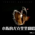 陈曦 - 私奔 (Live)