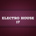Electro House, Vol. 17