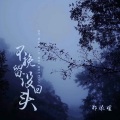 郑添媛 - 不挽留没回头