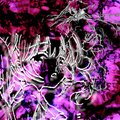 Lunéa、yayuset - perpetuo!