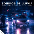 Sonidos De Lluvia: Hermosas Gotas En El Césped Vol. 1