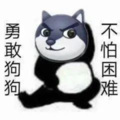 探星社 - “张三，不过是半山腰罢了”半山腰  罗翔