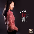 李冰 - 小行囊