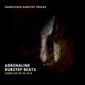 Adrenaline Dubstep Beats - Handpicked Dubstep Tracks (Compiled By Ex Ex R)
