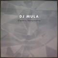 Electro Saturnalia