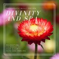 Divinity And Spa (Therapeutic Music For Spa, Relaxation, Calmness, Deep Sleep, Reiki And Healing)