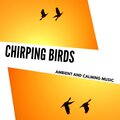 Chirping Birds - Ambient And Calming Music