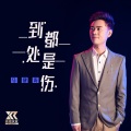 马健涛 - 到处都是伤